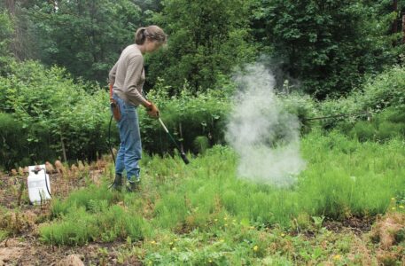 Propane Torch Tips for the Homestead Image